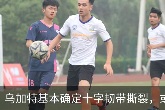 乌加特基本确定十字韧带撕裂，或迫使曼联买人！若伤缺一年可获赔500万