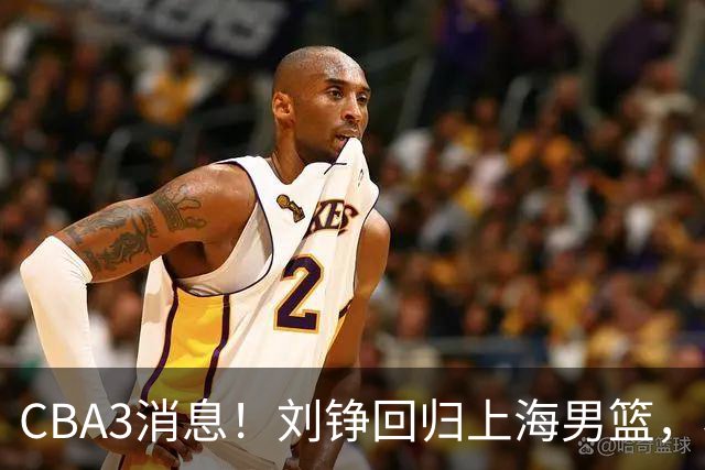 CBA3消息！刘铮回归上海男篮，杜锋心理学院博士，中国男篮VS立陶宛！